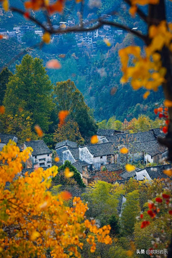 秋天的第一場旅行，你可以去這6個地方。一入秋，他們就變色了…