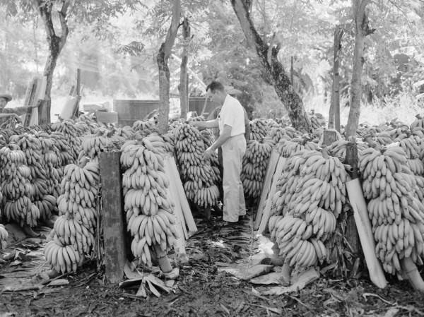 同樣是冷戰，為什麼蘇聯和美國吃的東西有這麼大區別？這就是答案