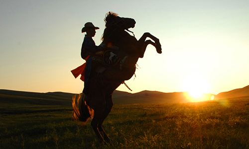 41個冷知識:看起來些許荒謬,但卻可以使人博學的有趣知識 41個冷知識:看起來些許荒謬,但卻可以使人博學的有趣知識