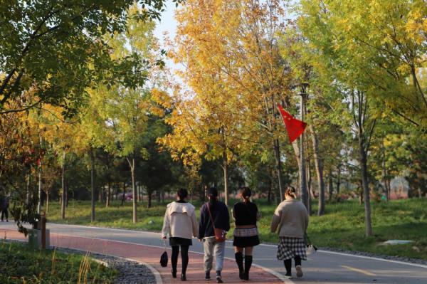 深秋季節的廟底溝考古文化公園