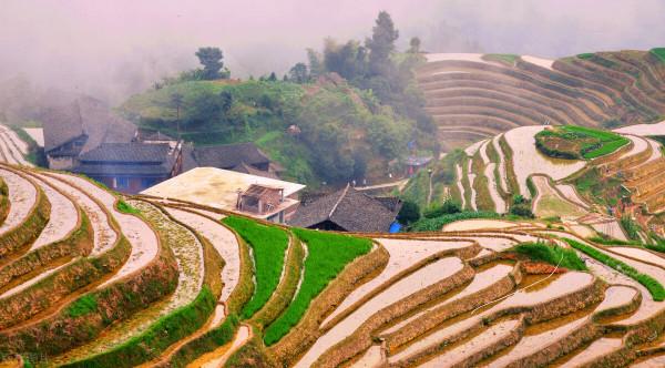 廣西一年四季皆是美景,但卻美得很低調,還藏著如此野奢美景 廣西一年四季皆是美景,但卻美得很低調,還藏著如此野奢美景
