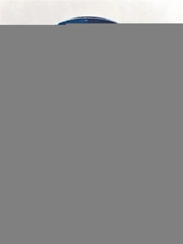 能讓陳賡大將害怕的只有一人，最敬佩的有兩人，這三人是誰？