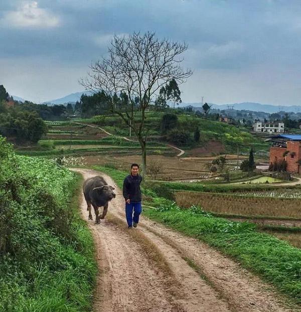 50張照片記錄著最真實的農村生活,這才是我們最深刻的回憶 50張照片記錄著最真實的農村生活,這才是我們最深刻的回憶