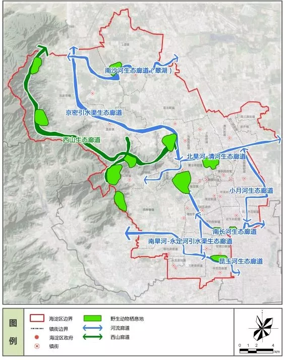 前方高萌！海淀竟有超多“神奇生物”出沒……