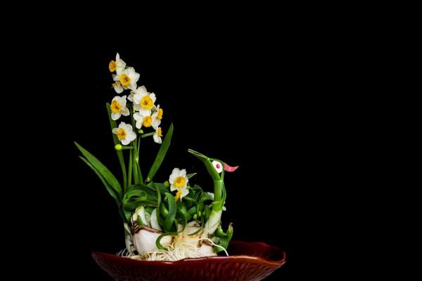 7種高顏值的花卉,把它們養在室內裝飾家居,這才是理想的家 7種高顏值的花卉,把它們養在室內裝飾家居,這才是理想的家