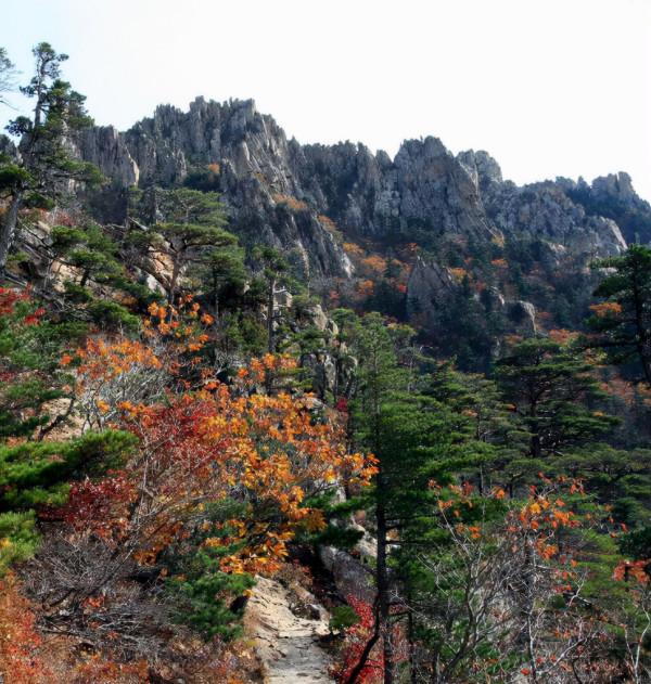 盤點黑龍江省神秘傳說-佳木斯 盤點黑龍江省神秘傳說-佳木斯