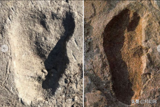 360萬年前化石足跡，或同時存在兩種古人類