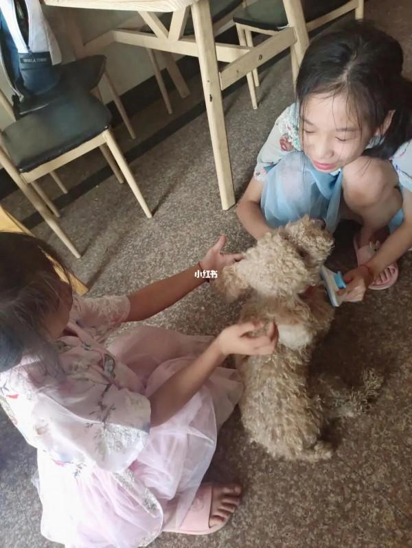 我們家的齙牙honey