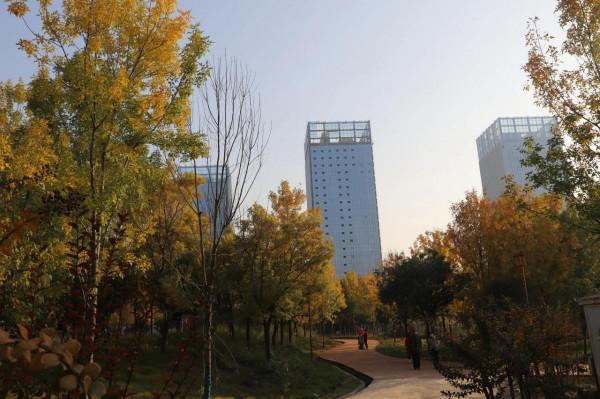 深秋季節的廟底溝考古文化公園