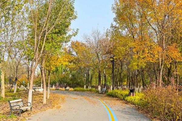 獨一無二！公園裡也能跑火車！京西這處免費的森林公園，值得玩