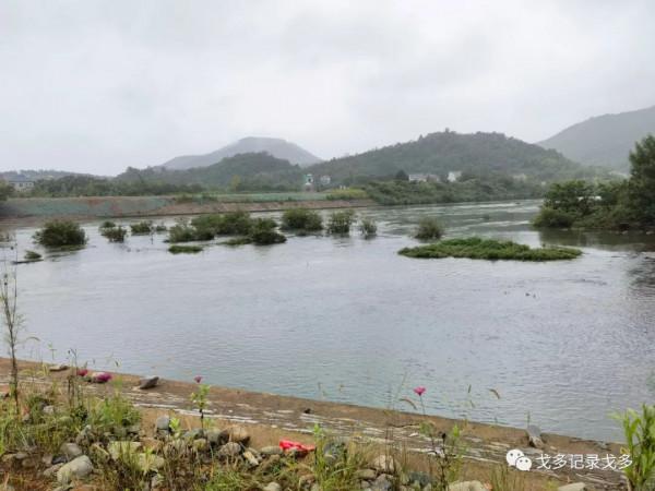 快樂遊釣遇見野猴,一路上意外多多,驚喜不斷 快樂遊釣遇見野猴,一路上意外多多,驚喜不斷