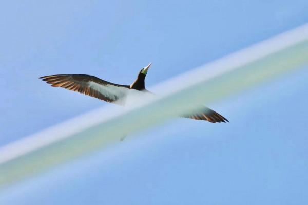 帶你走遍世界(五)