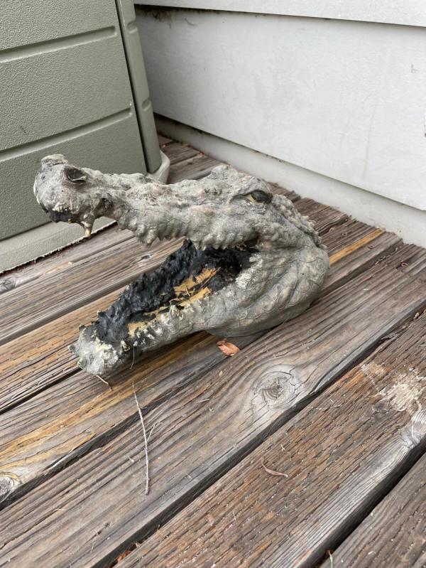 上萬人參加「第 37 屆加州海岸清潔日」 發現不尋常物品 上萬人參加「第 37 屆加州海岸清潔日」 發現不尋常物品