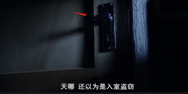 永不服輸的蜜獾，曾經有一個保護區飼養了兩隻，後來怎麼樣了？