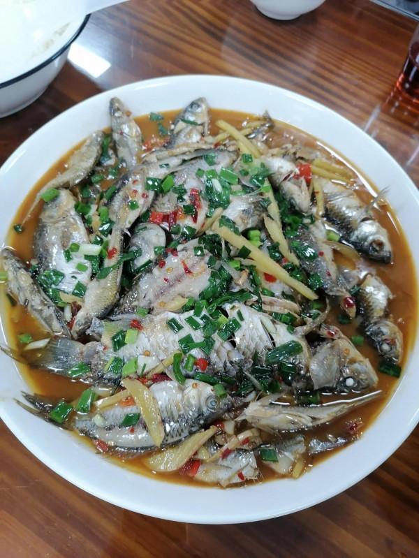 誰說冬季西北風不好釣