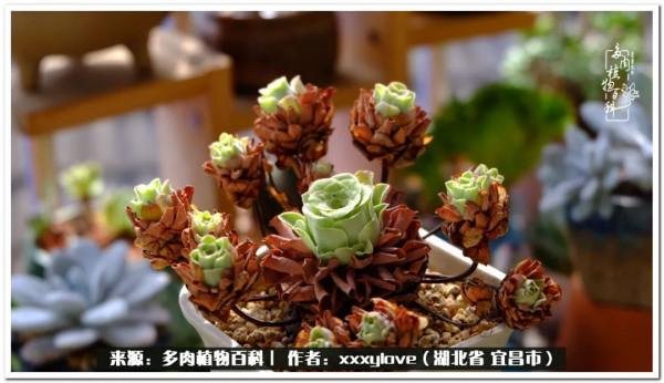 時光匆匆，一閃而逝，這世間萬物的美，都值得被記錄