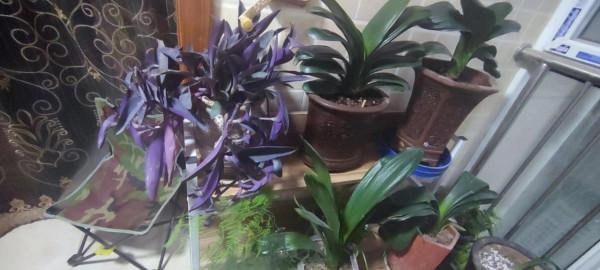 今天成功的做了一次斷舍理