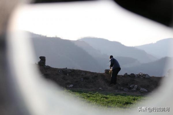 山西大山發現巴基斯坦國鳥，6旬“鳥叔”守護6年，看鳥兒活成啥樣