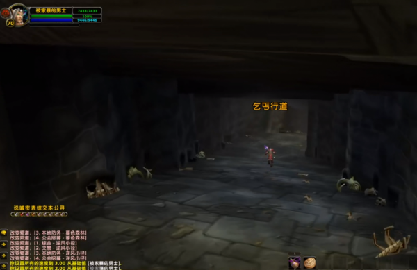 魔獸世界TBC：P3階段百花齊放，奧法跌落神壇，冷門職業崛起