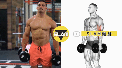 如何有效地練好肱二頭肌？5個動作讓手臂 充滿力量感