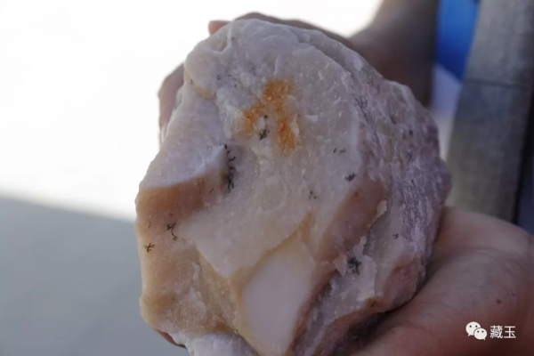 5萬一公斤，悄悄漲價的且末料