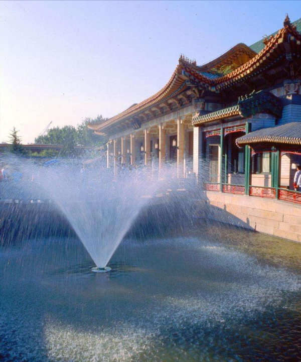 護士孟錦雲想讓主席介紹自己入黨，毛澤東嚴肅回覆：我同意不算數