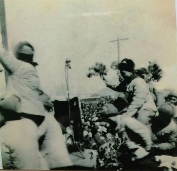 母親劉素萍的抗美援朝（1951年3月一1954年4月）