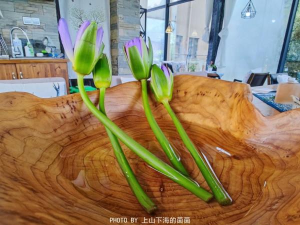 走進莫干山治癒系民宿,在禪意滿滿天真樂元靜心酒店遇見最真自己 走進莫干山治癒系民宿,在禪意滿滿天真樂元靜心酒店遇見最真自己