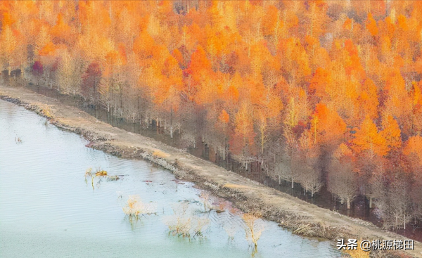 這幾個愈秋愈美的小眾旅行地，錯過只能再等一年