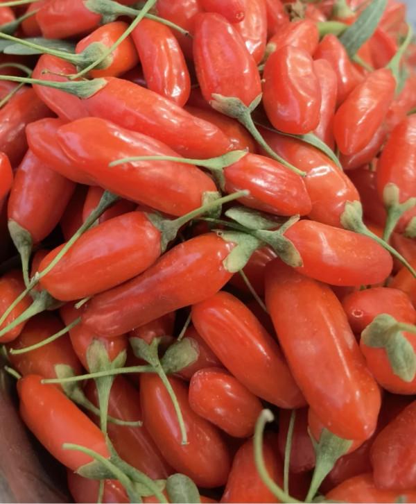 這些“陌生的水果”,雖然一個都不認識,但它們看起來很好吃 這些“陌生的水果”,雖然一個都不認識,但它們看起來很好吃