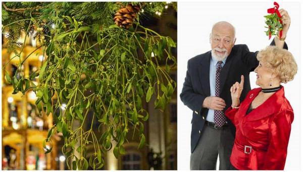 美國的聖誕節傳統及其起源