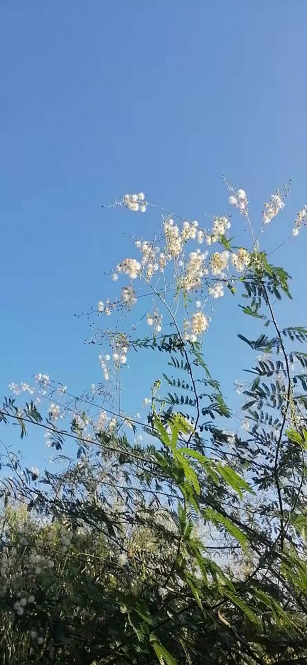 雲彩下的山城系列（四）