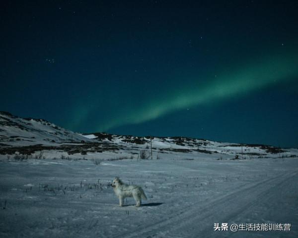 《時代》雜誌評出 2021 年最有影響力的100 張照片（上）