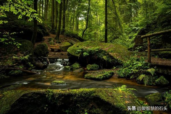 莫言：如何對待“不喜歡”你的人？記住這三句話