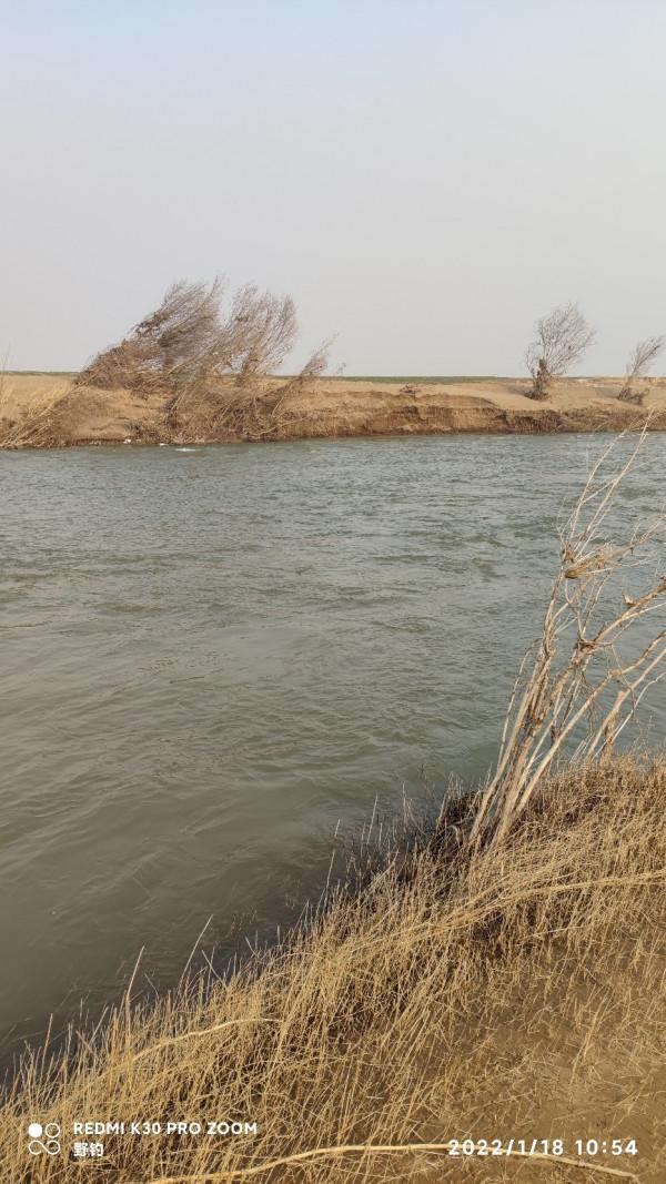 冬日再戰沁水河畔，大鯽大鯉收穫爆護