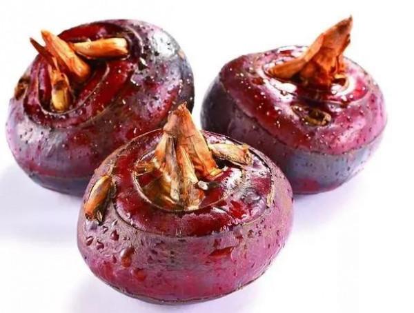 中藥古今研究：荸薺