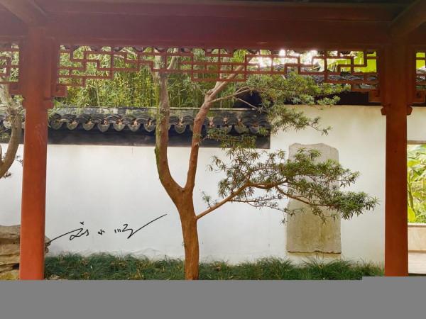 上海市嘉定區有一座著名的“江南園林”，門票很便宜，遊客卻不多