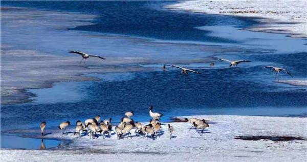絕美，跟隨鏡頭俯瞰“世界花園彩雲南”