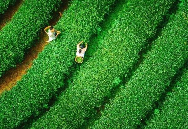 苦等5年，中國首條跨國高鐵通車了，雲南這座慢城正適合冬季出發