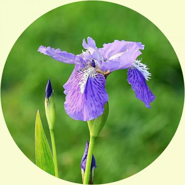 你的微信頭像該換了,美麗的風景,令人心曠神怡 你的微信頭像該換了,美麗的風景,令人心曠神怡