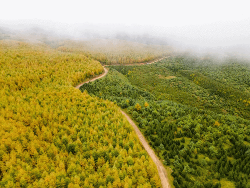 看,這就是大悟的秋 看,這就是大悟的秋