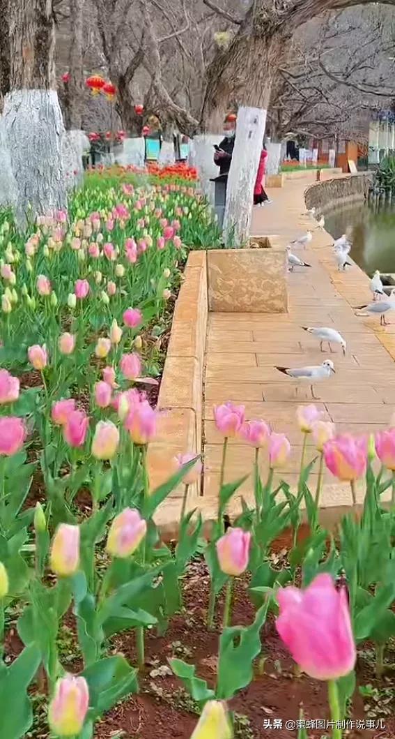 美圖分享，自然美景，可以治癒心靈