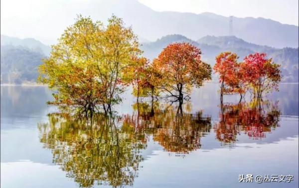 蘇東坡最為經典的50首詩詞,文彩四溢、南州冠冕 蘇東坡最為經典的50首詩詞,文彩四溢、南州冠冕