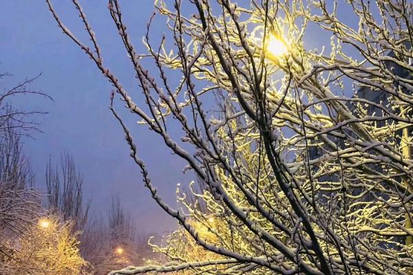 「散文」初冬好美,你好溫柔 「散文」初冬好美,你好溫柔