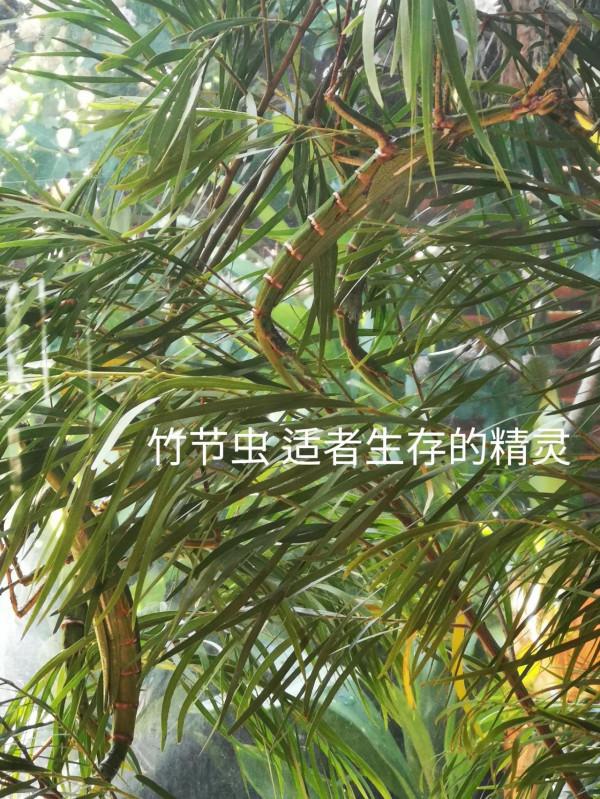 奧克蘭動物園一日遊