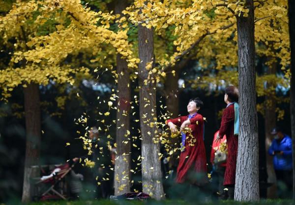 最愛北京，金秋如畫