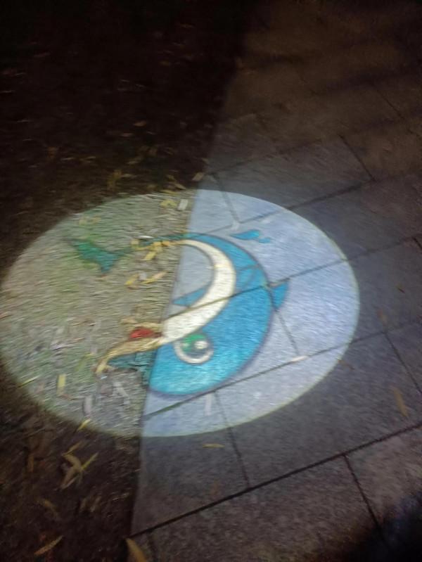 美麗的後湖夜晚