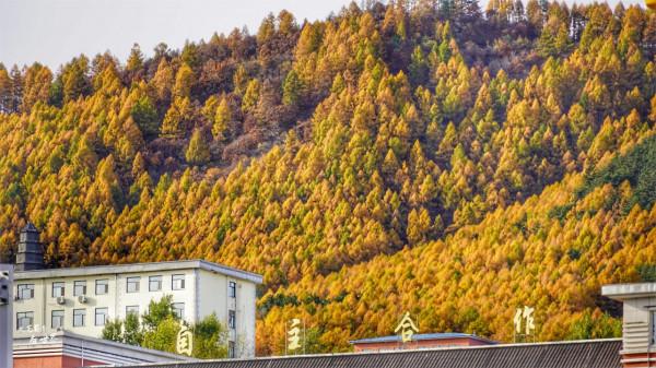 人口才5萬多人的縣城，不通鐵路沒有高速卻不差錢，小城乾淨富饒