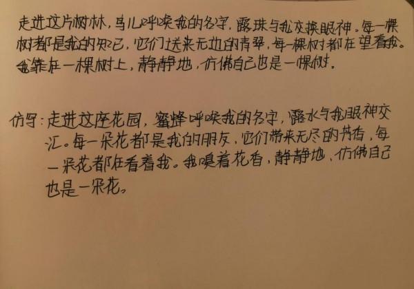 來自孩子們的摘抄、仿寫手稿（二）