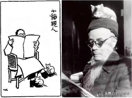 乾隆也太會給貓起名了！現代人只會：咪咪